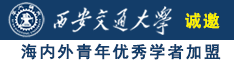 插骚逼小穴黄片诚邀海内外青年优秀学者加盟西安交通大学